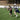 Lacrosse Gear Essentials for Beginners
